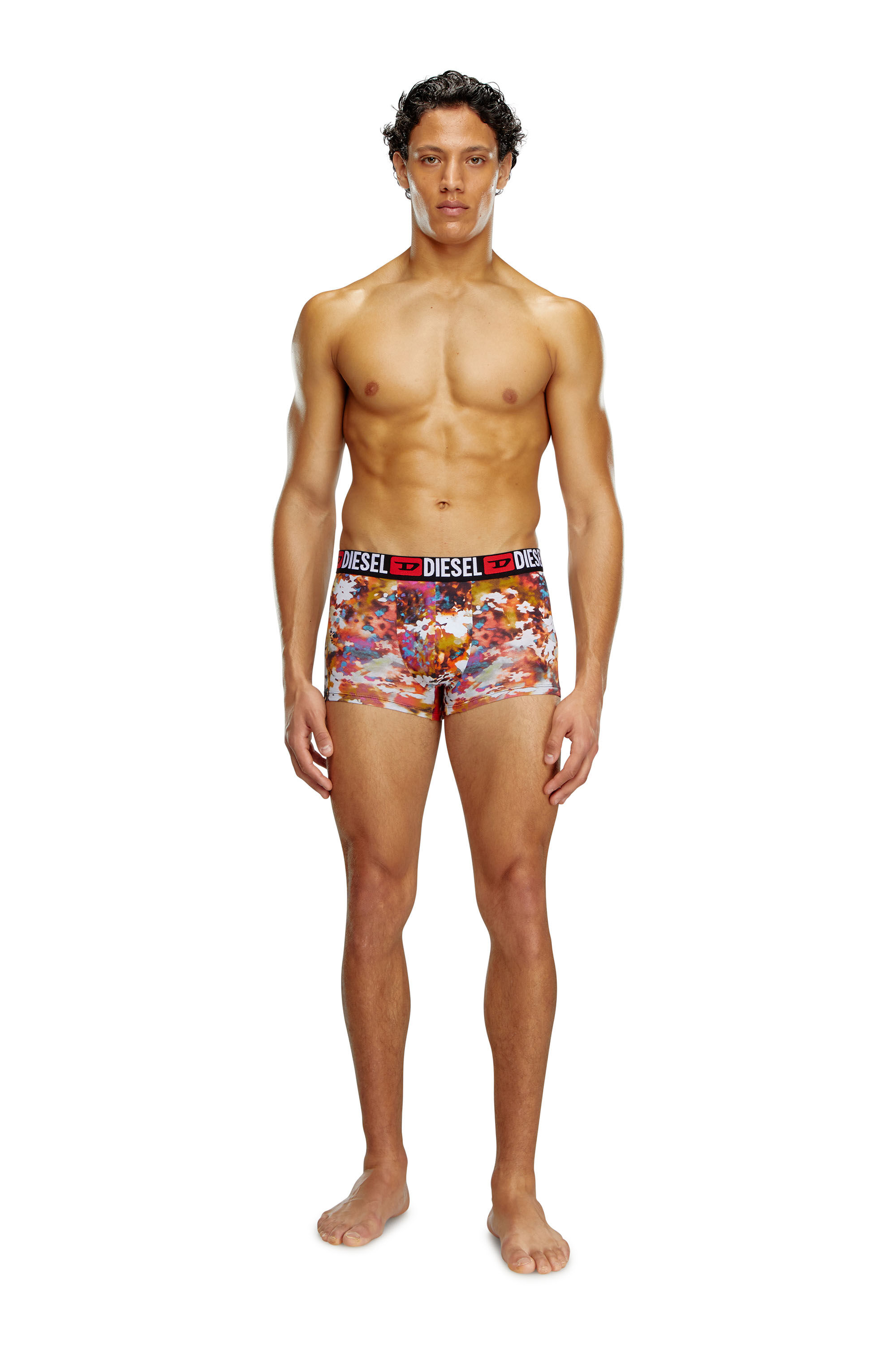Diesel - UMBX-DAMIENTHREEPACK, Male 3-pack boxer briefs plain and floral in マルチカラー - Image 1
