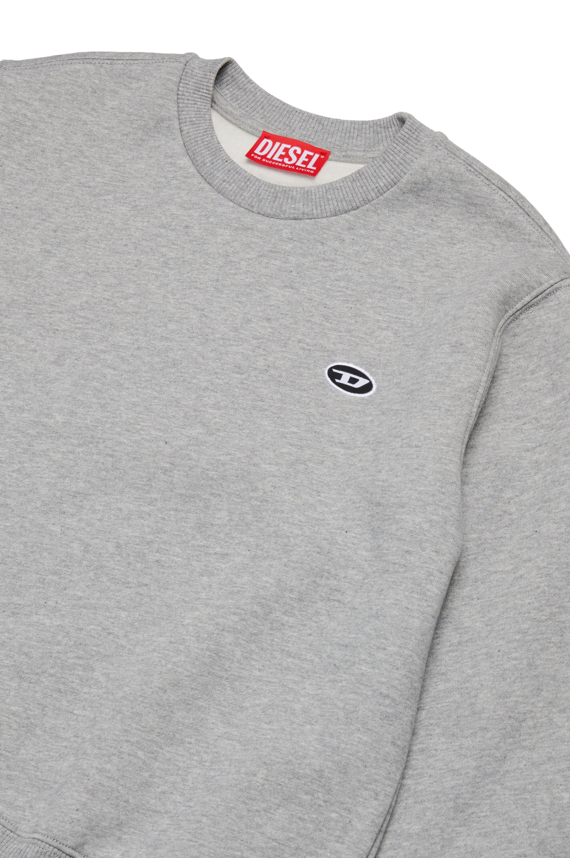 Diesel - SROBDOVALPJ OVER, Male Sweatshirt with Oval D patch in グレー - Image 3