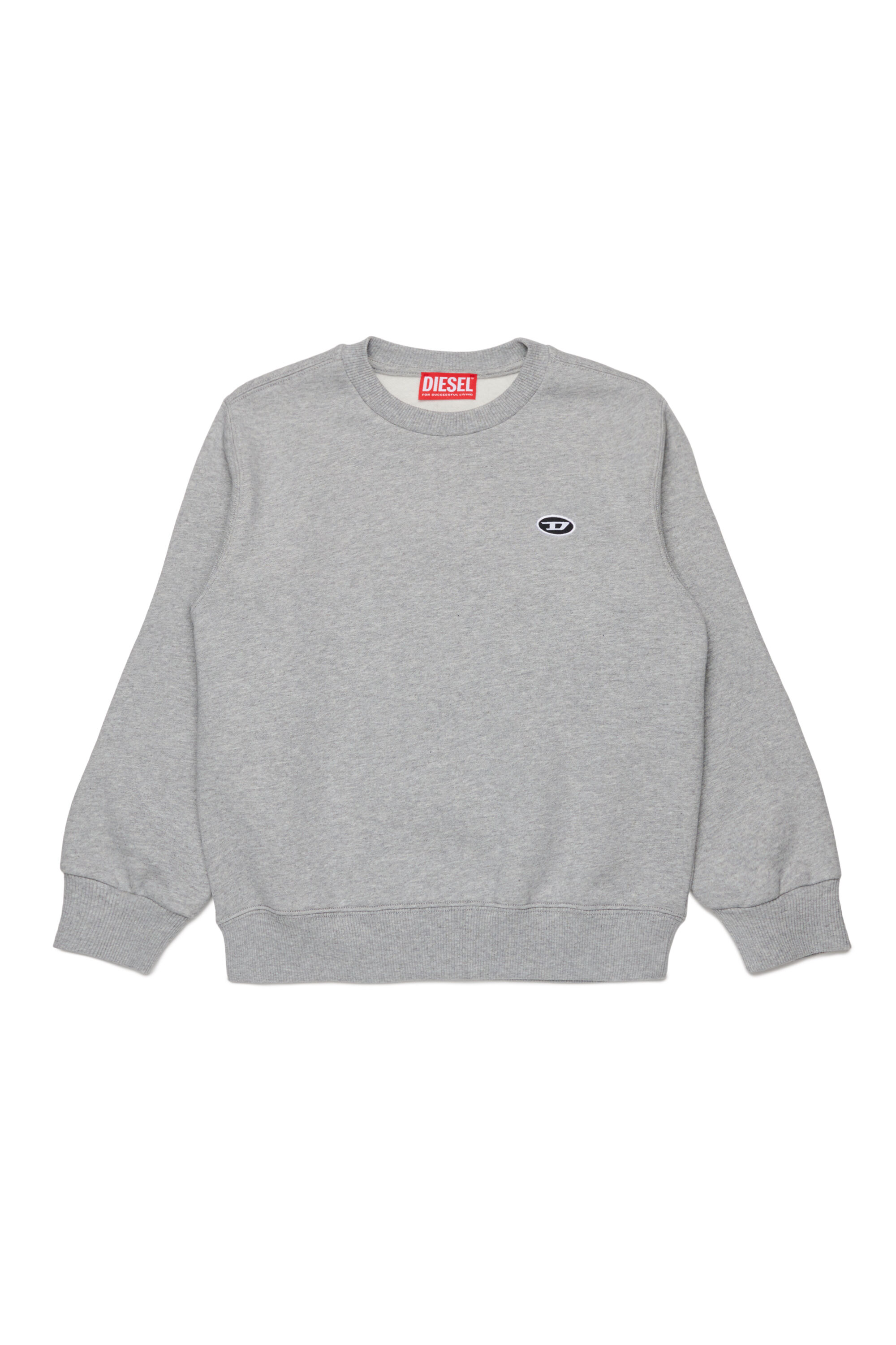 Diesel - SROBDOVALPJ OVER, Male Sweatshirt with Oval D patch in グレー - Image 1