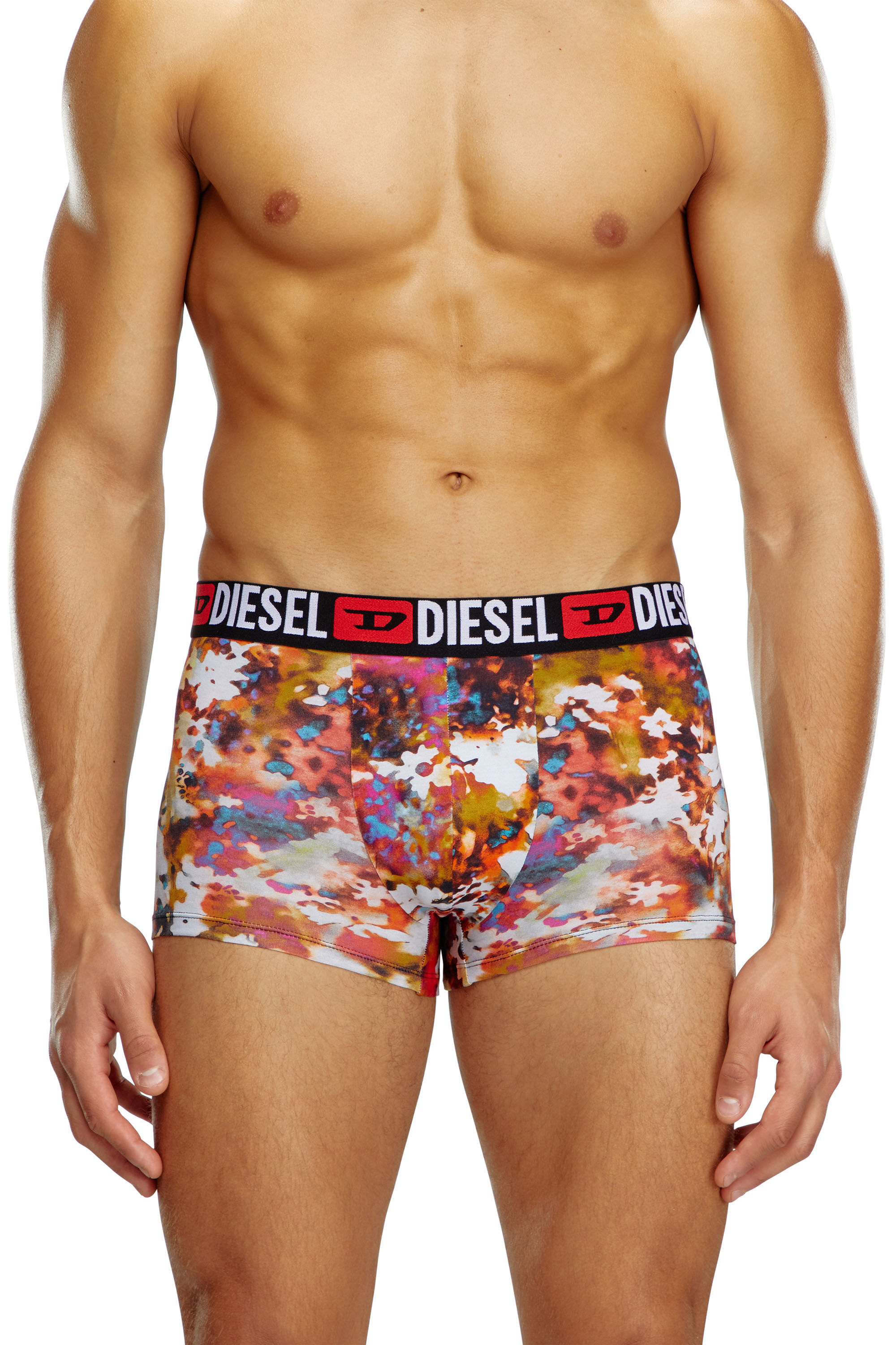 Diesel - UMBX-DAMIENTHREEPACK, Male 3-pack boxer briefs plain and floral in マルチカラー - Image 3