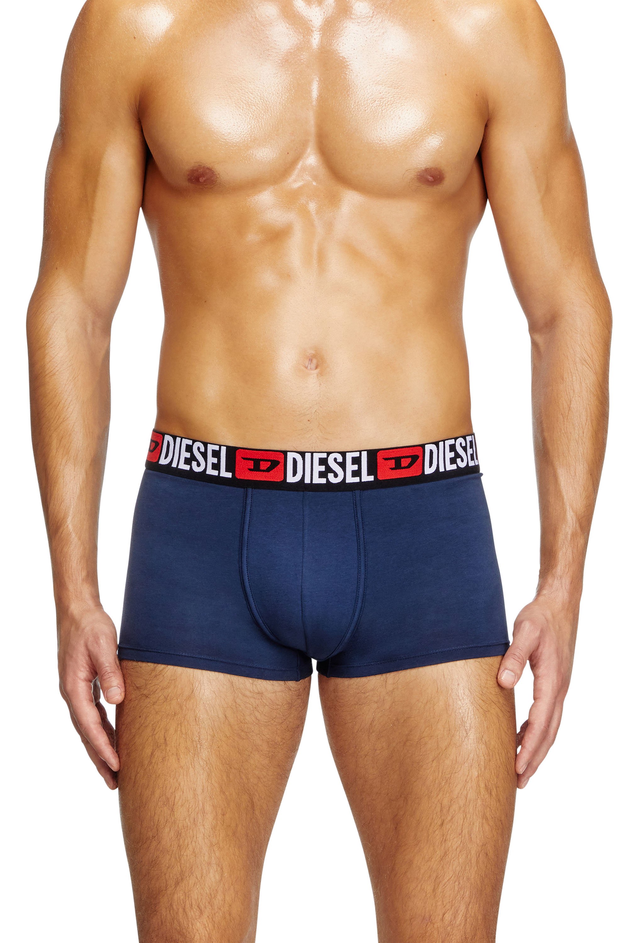 Diesel - DAMIEN, Male's Stretch cotton boxer briefs in ブルー - 2