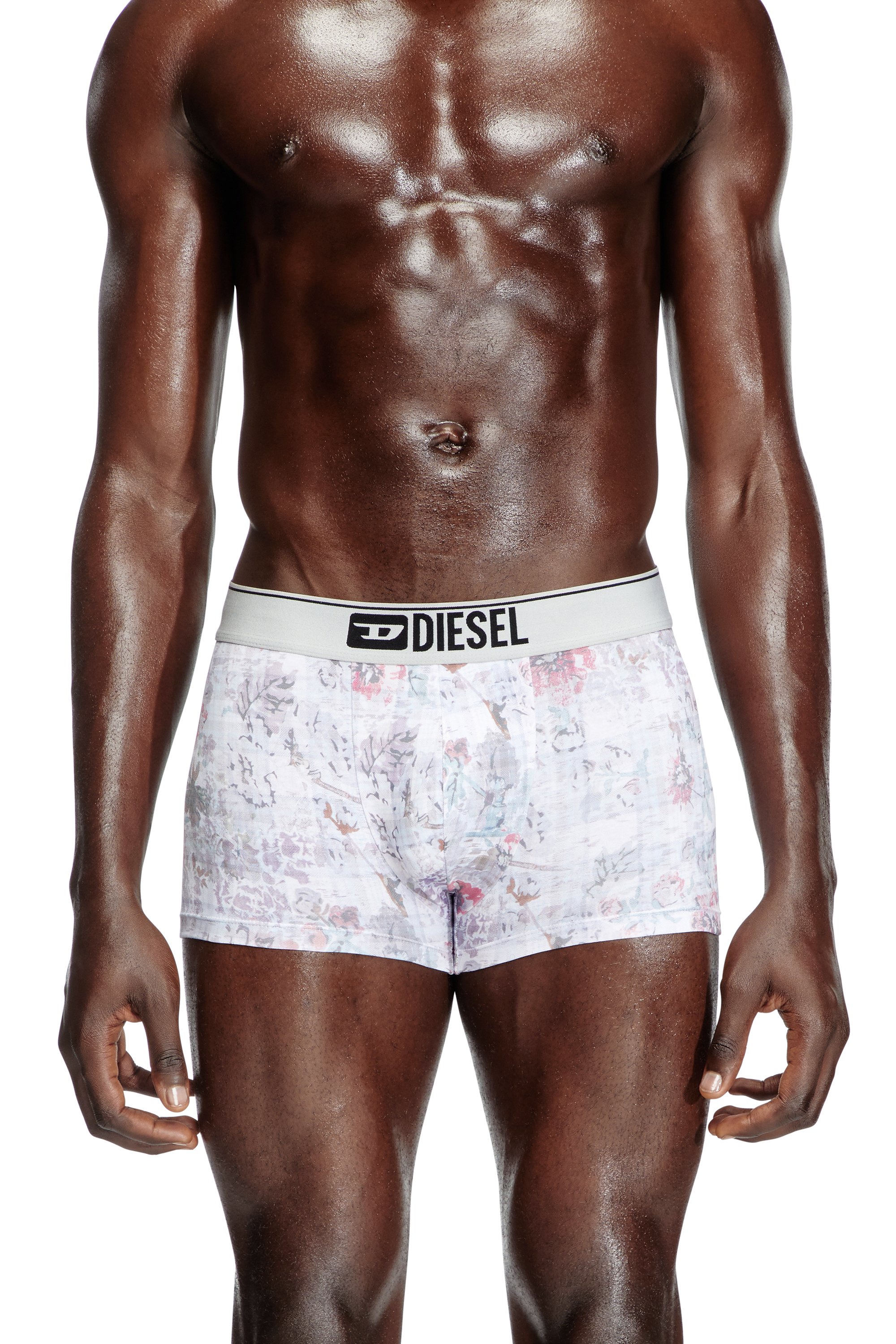 Diesel - DAMIEN, Male's Boxer briefs with floral check motif in グレー - 2