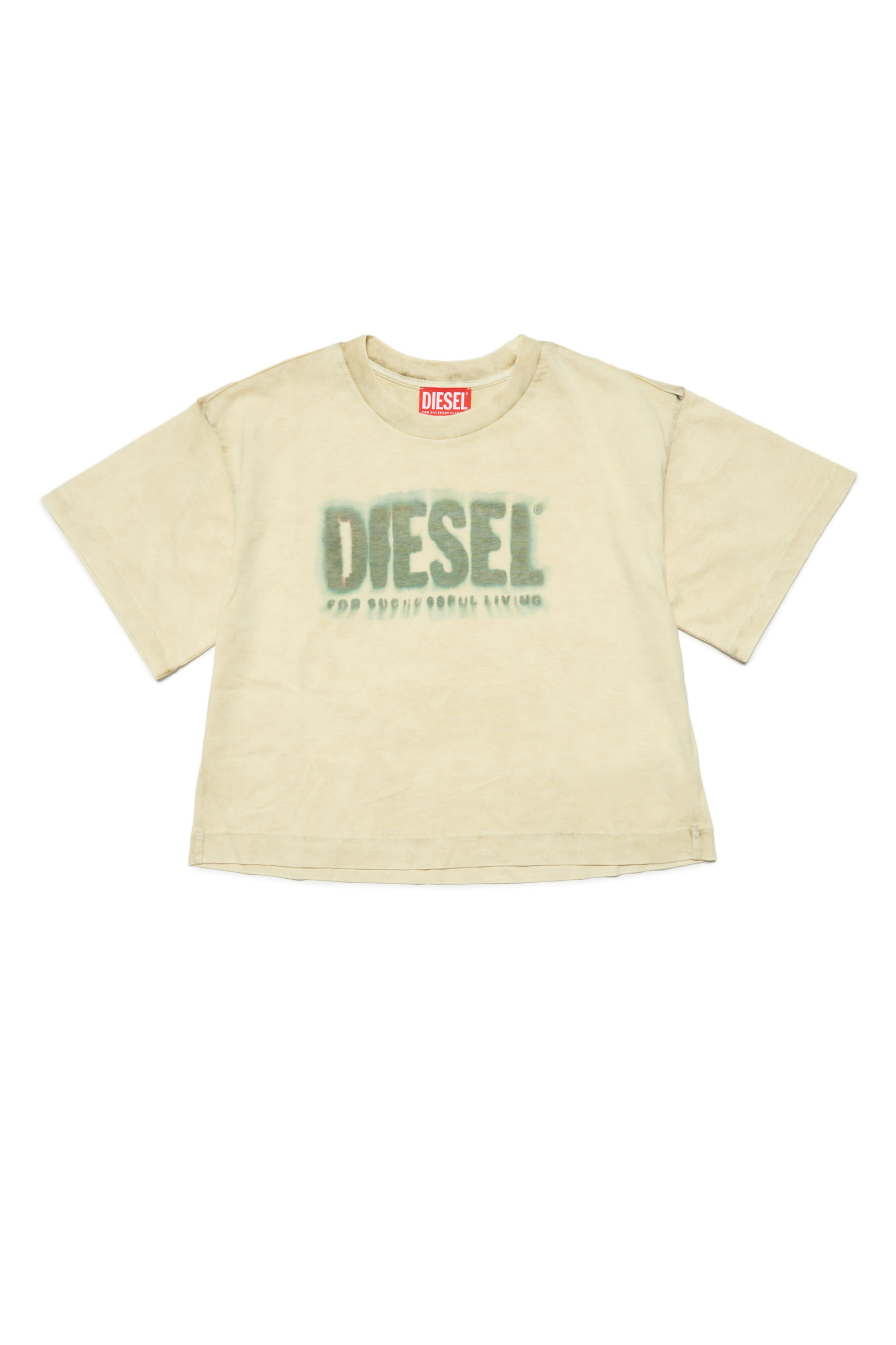 Lisa着用 DIESEL ゆったり メッシュ スウェット 店名 - dsaexcel.com