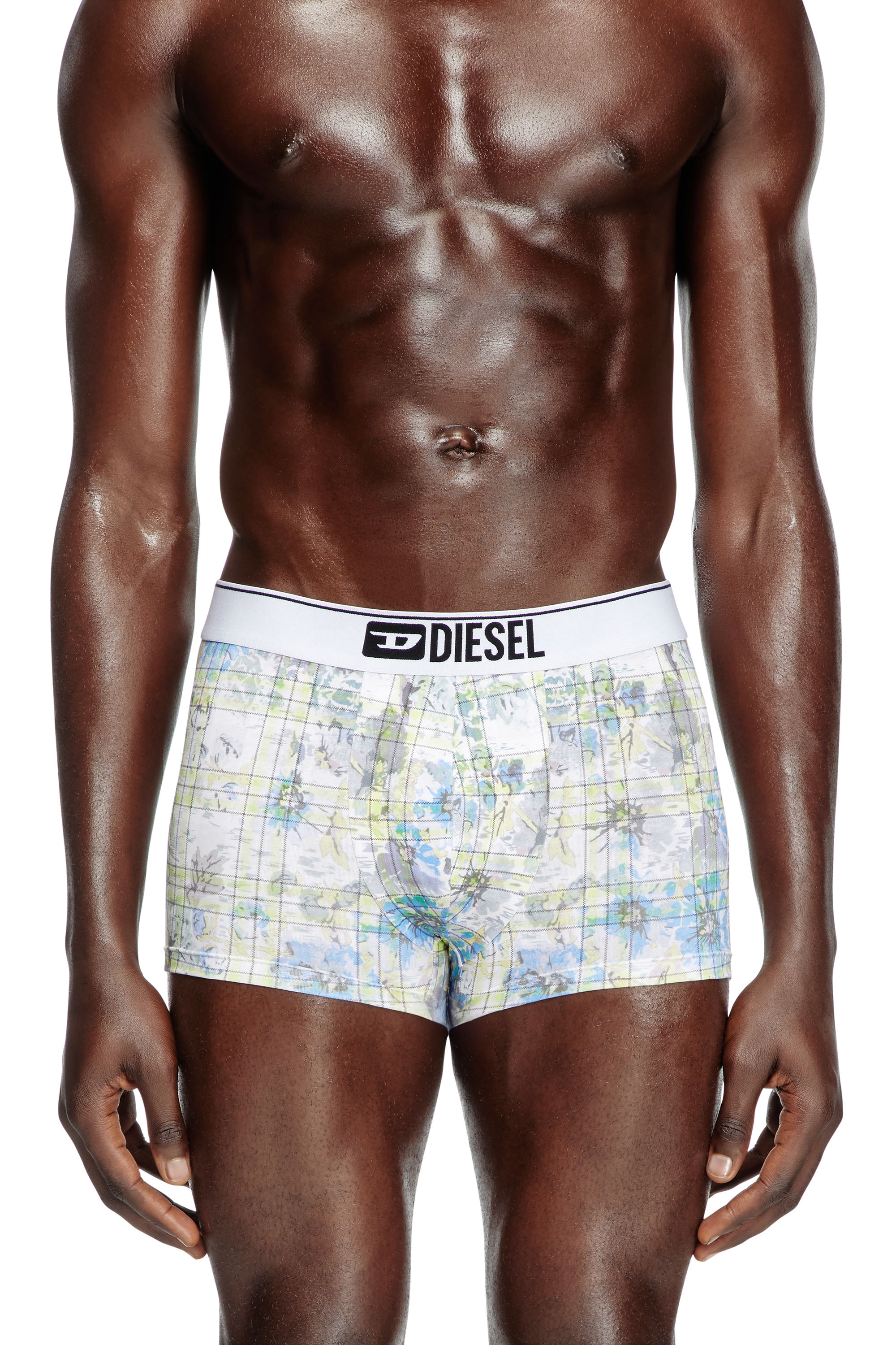 Diesel - DAMIEN, Male's Boxer briefs with floral check motif in ホワイト - 2