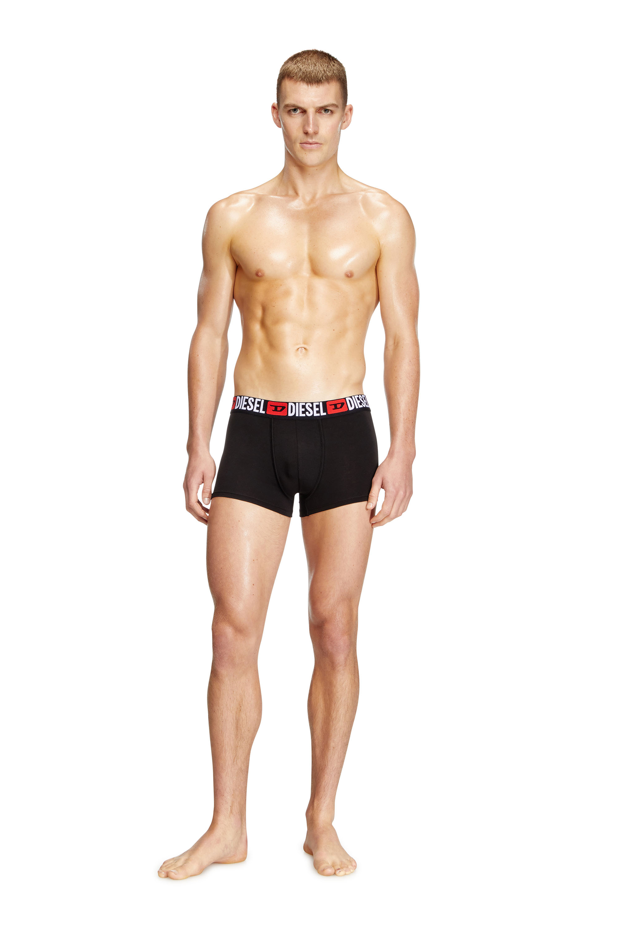 Diesel - DAMIEN, Male's Stretch cotton boxer briefs in ブラック - 1