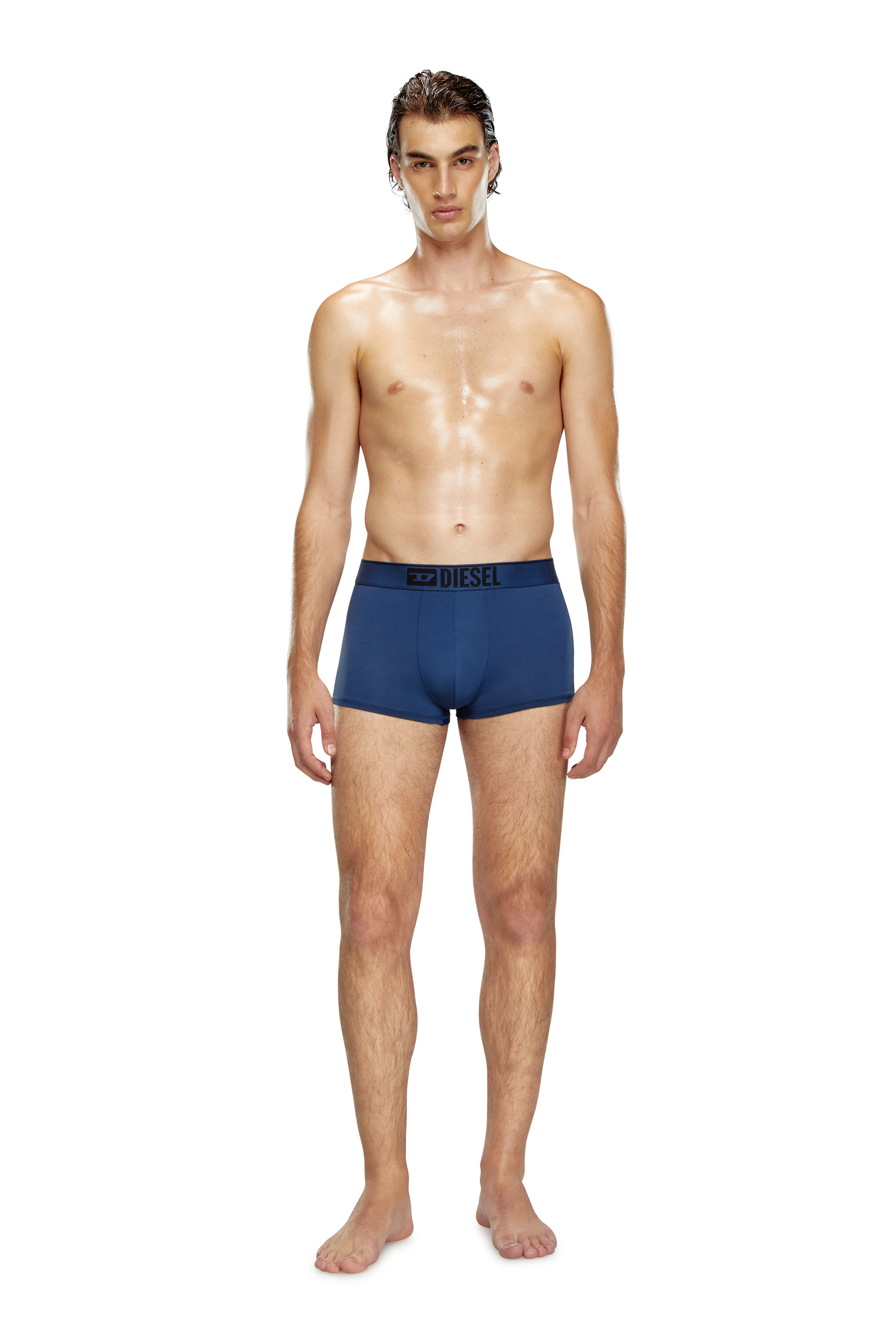 Diesel - UMBX-DAMIEN-CUT, Male's Microfibre boxer briefs with logo waist in ブルー - 2